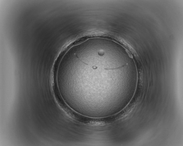 X0000116300582200912071250