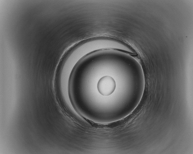 X0000116300583200912071250