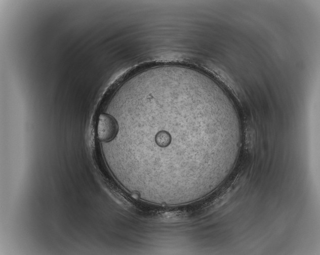 X0000116300584200912071250