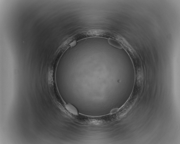 X0000116300585200912071250