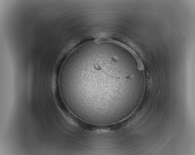 X0000116300586200912071250