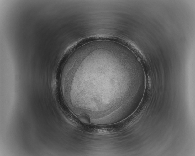 X0000116300588200912071250