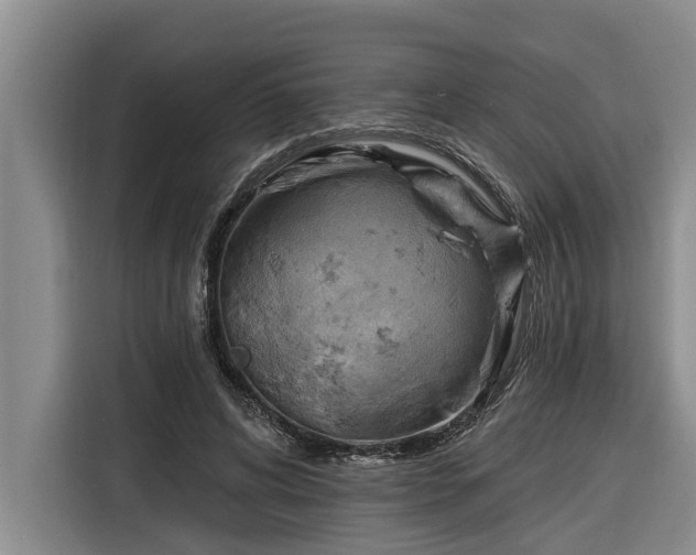 X0000116300592200912071250