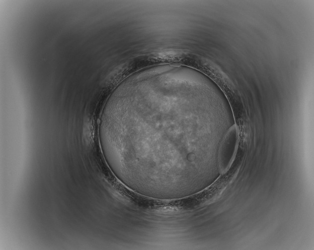 X0000116300593200912071250