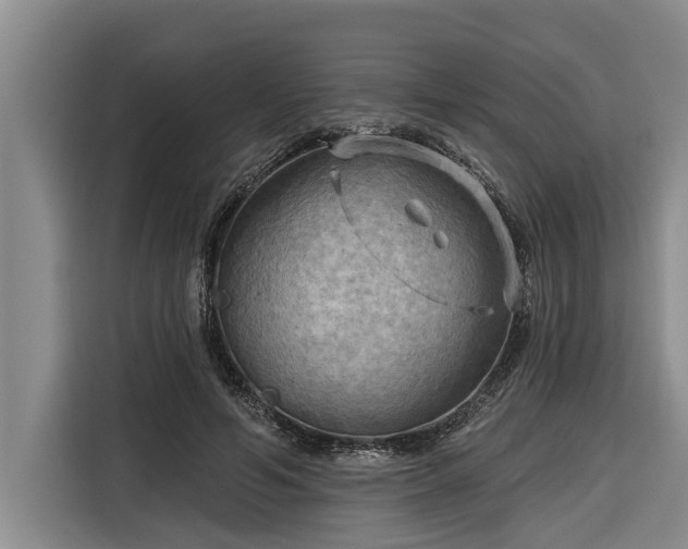 X0000116300594200912071250