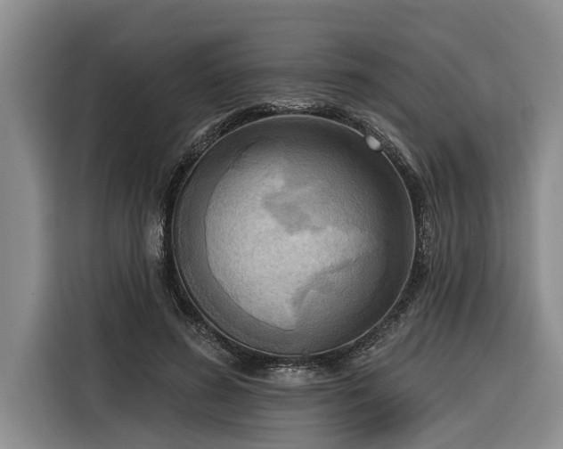 X0000116300596200912071250