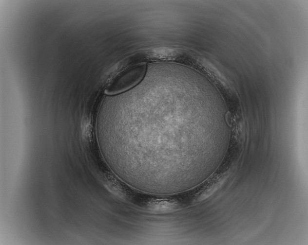 X0000116300597200912071250