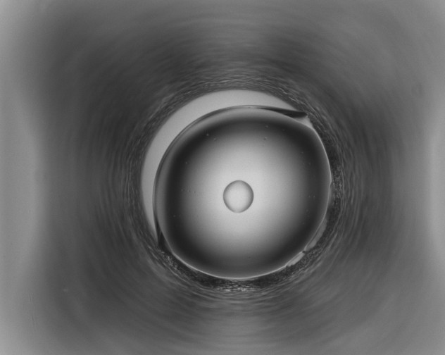 X0000116300599200912071250