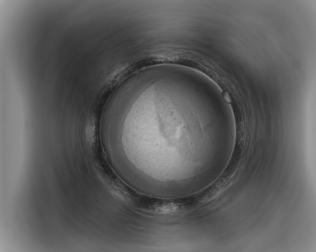 X0000116300600200912071250