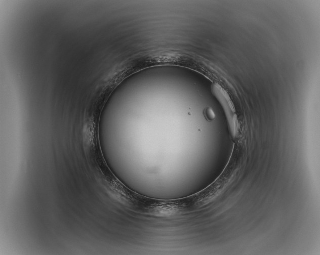 X0000116300604200912071250