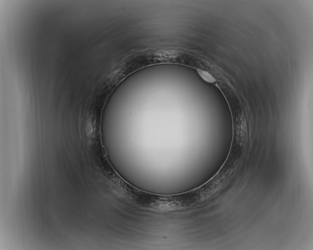 X0000116300608200912071250