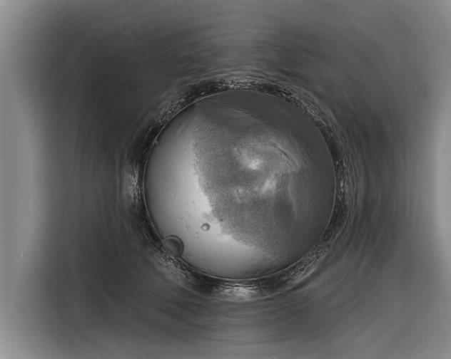 X0000116300610200912071250