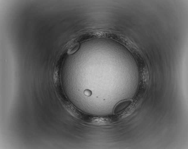 X0000116300611200912071250