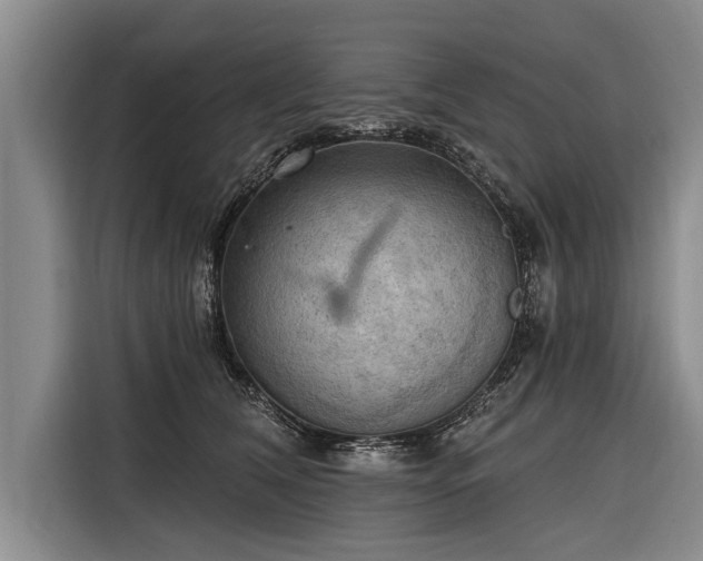 X0000116300612200912071250