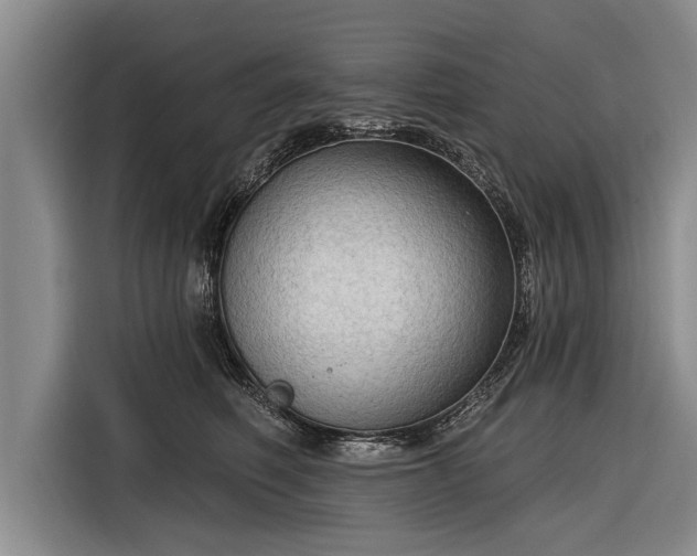 X0000116300614200912071250