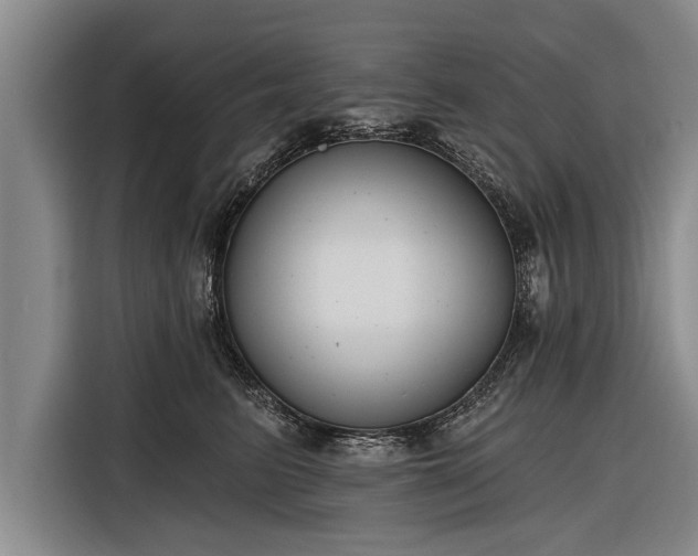 X0000116300615200912071250