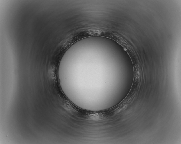 X0000116300616200912071250