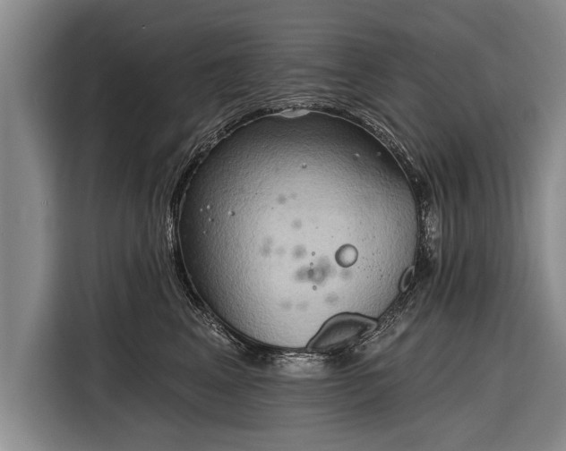 X0000116300617200912071250