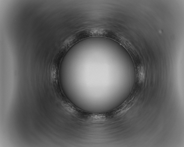 X0000116300619200912071250