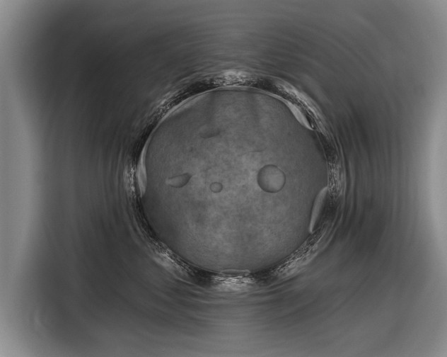 X0000116300621200912071250