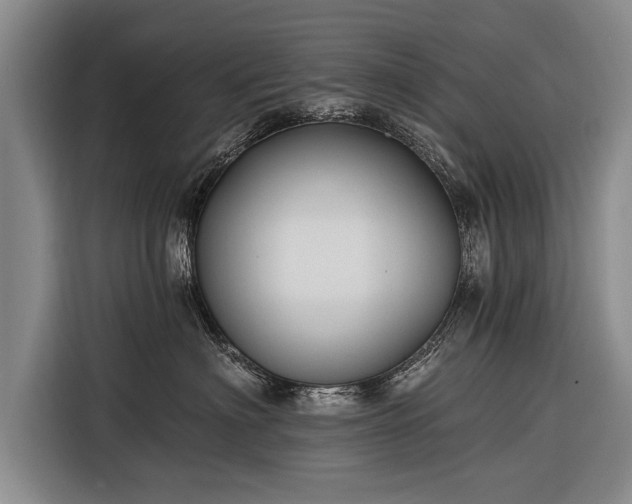 X0000116300622200912071250