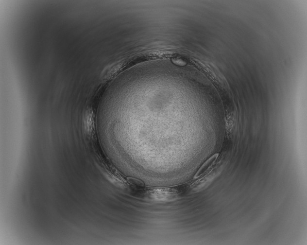 X0000116300623200912071250