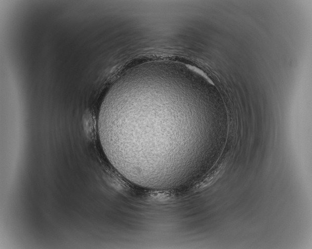 X0000116300624200912071250