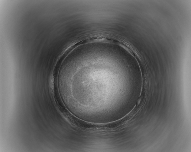 X0000116300626200912071249