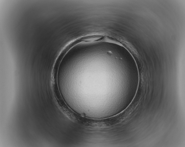 X0000116300628200912071249