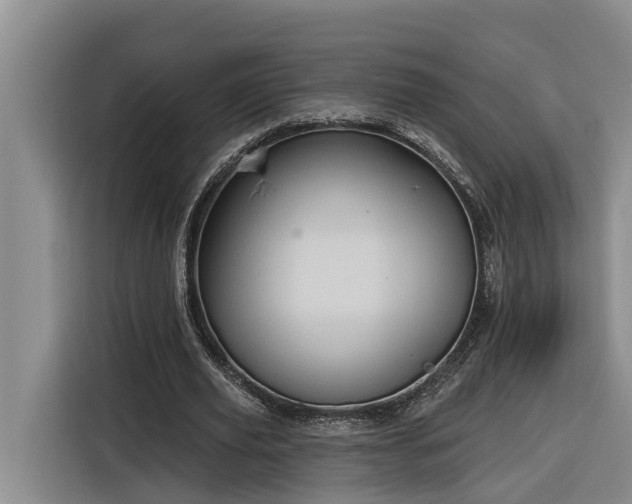 X0000116300629200912071249