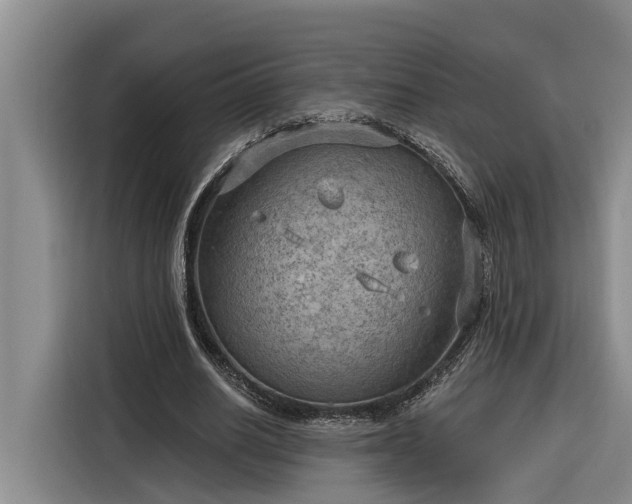 X0000116300630200912071249