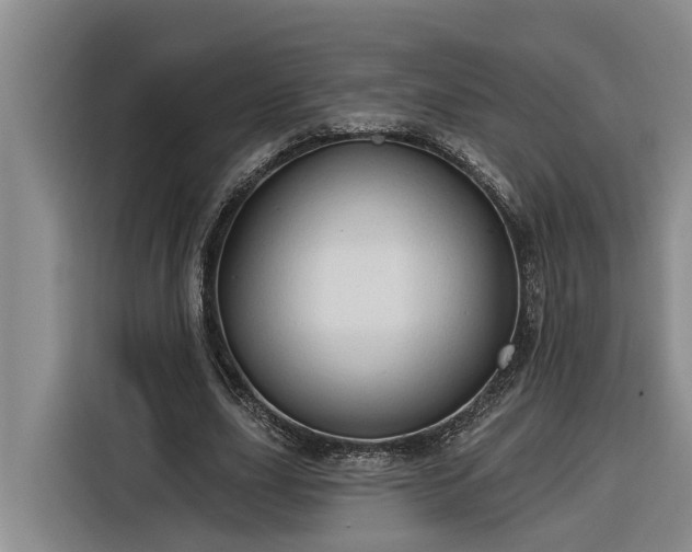 X0000116300631200912071249