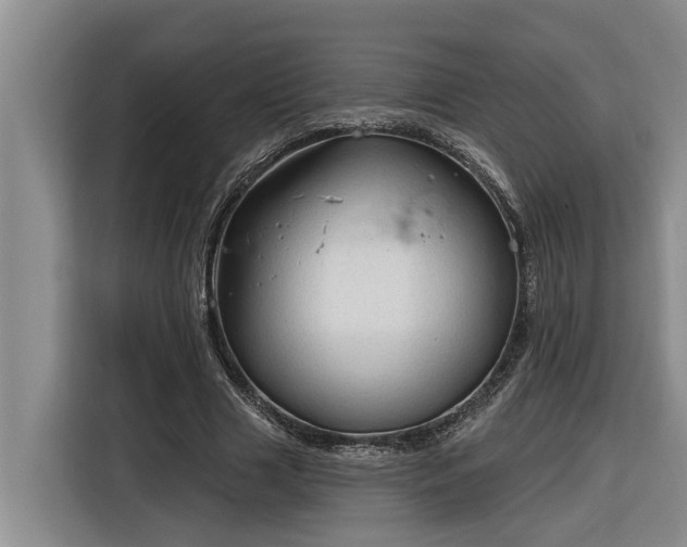 X0000116300633200912071249