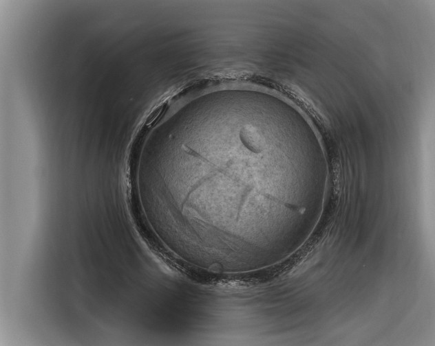 X0000116300634200912071249