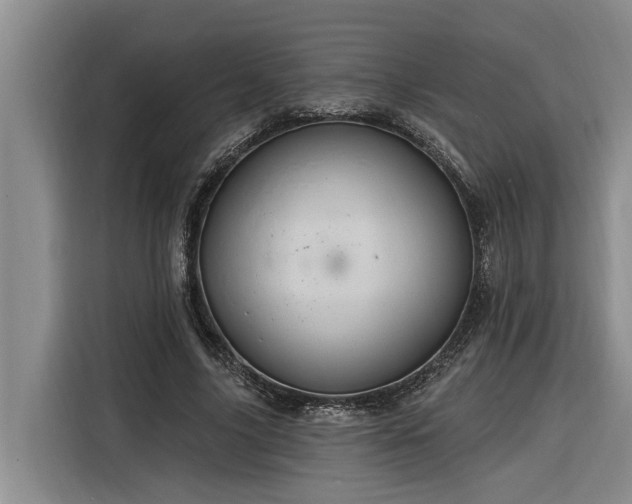 X0000116300635200912071249