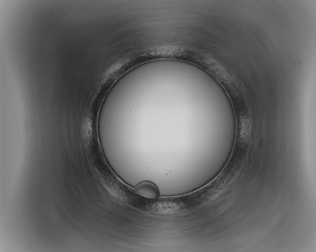 X0000116300636200912071249