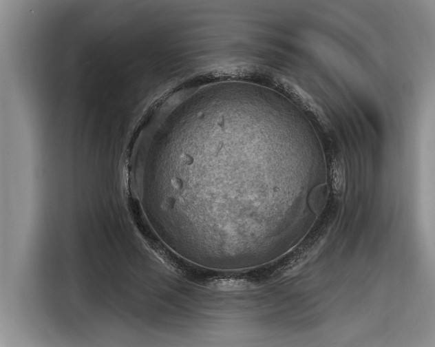 X0000116300637200912071249