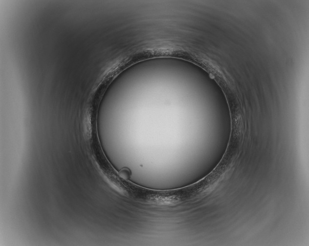 X0000116300638200912071249