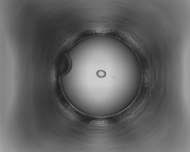 X0000116300639200912071249