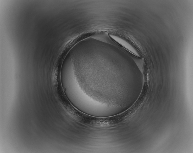 X0000116300640200912071249