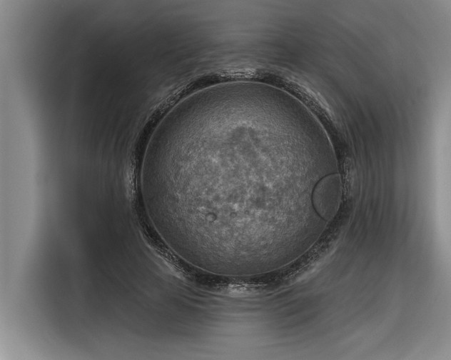 X0000116300641200912071249