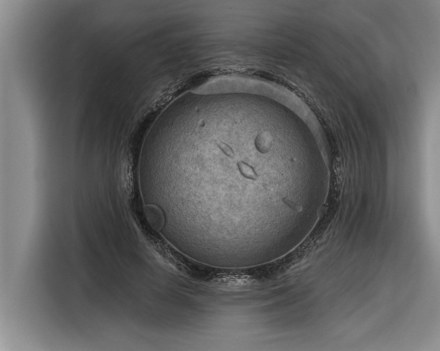 X0000116300642200912071249