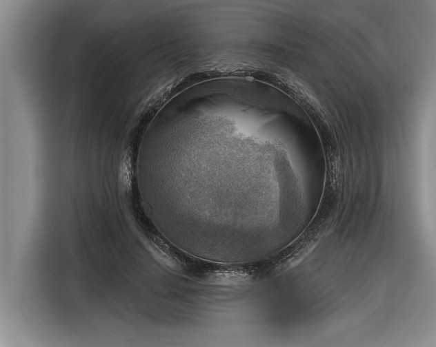 X0000116300644200912071249