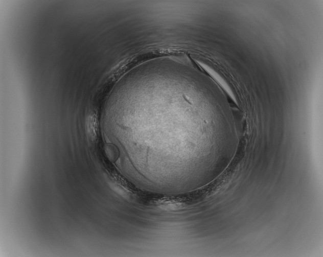 X0000116300648200912071249