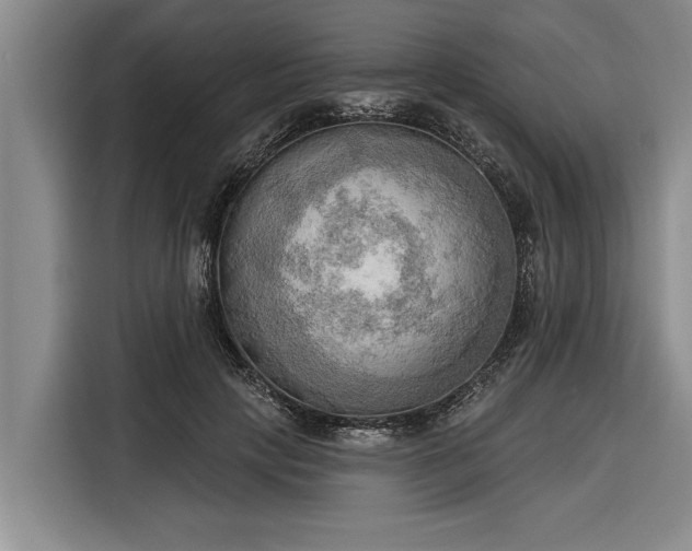 X0000116300649200912071249