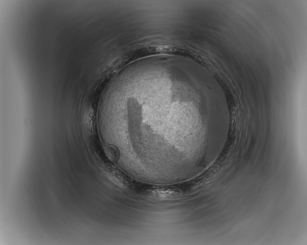 X0000116300650200912071249