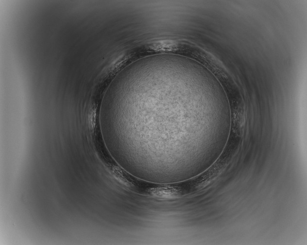 X0000116300652200912071249