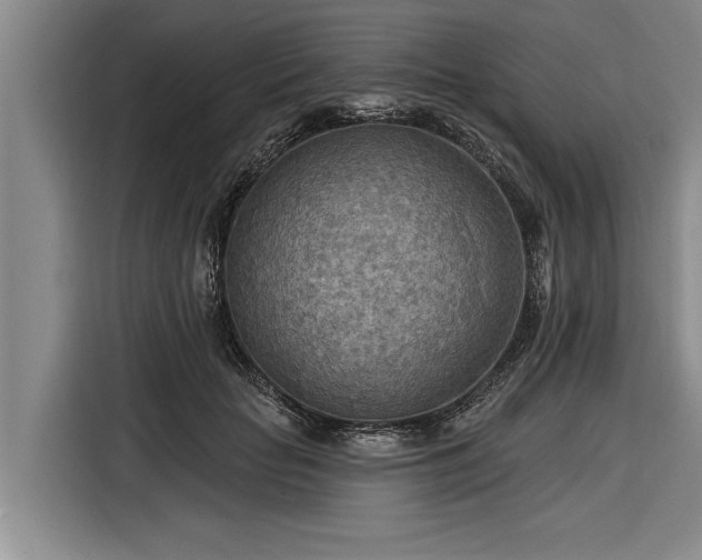 X0000116300653200912071249