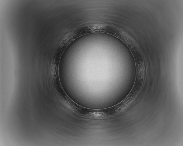 X0000116300654200912071249