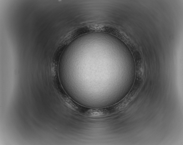 X0000116300658200912071249